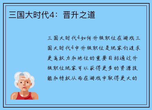 三国大时代4：晋升之道